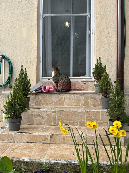 Popesti, Drumul Fermei, 2 camere + curte 40 mp + parcare.